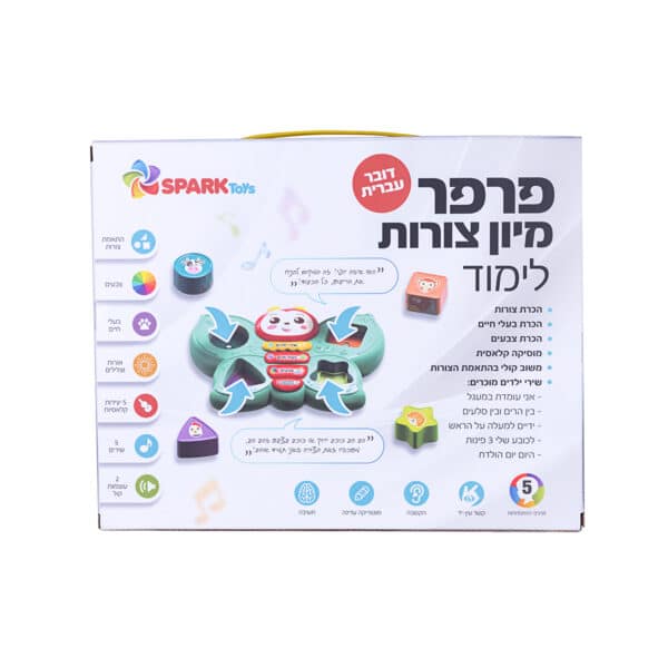 פרפר מיון צורות לימודי דובר עברית 4
