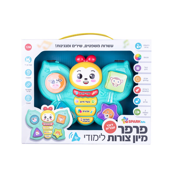 פרפר מיון צורות לימודי דובר עברית 3